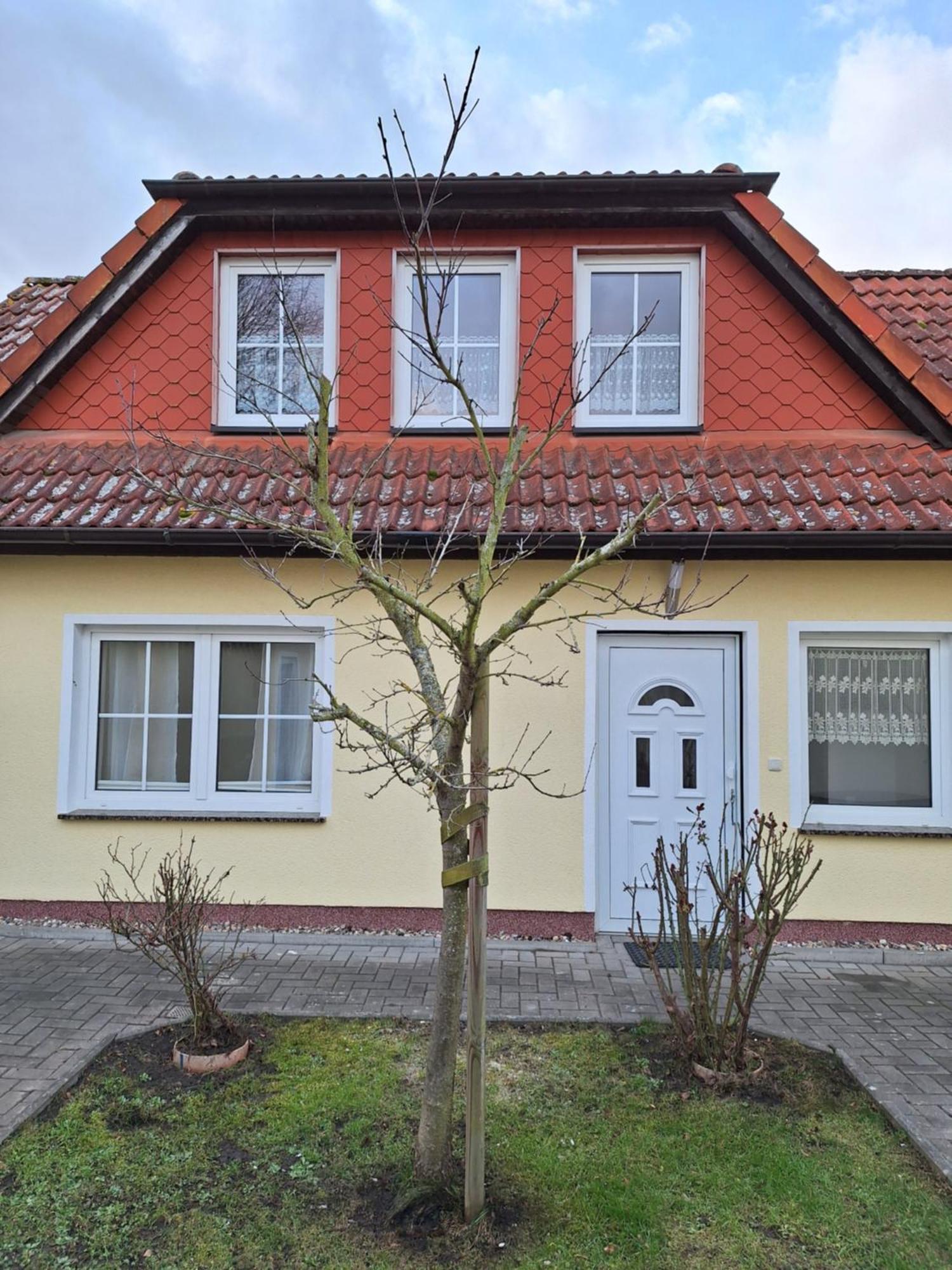 Emma Apartman Greifswald Kültér fotó
